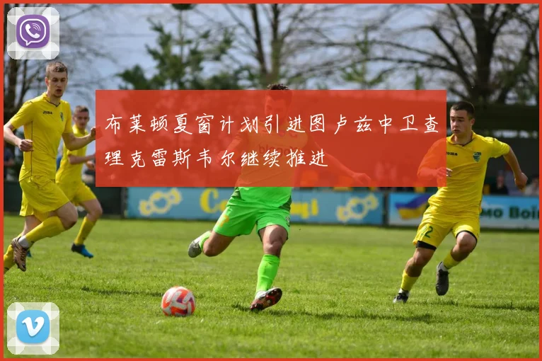 布莱顿夏窗计划引进图卢兹中卫查理克雷斯韦尔继续推进