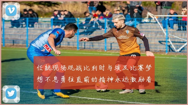 任航现场观战比利时与埃及比赛梦想不息勇往直前的精神永远激励着我们
